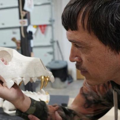 Dingos na Bienal de Sydney ganham nova repercussão após morte de mochileiro