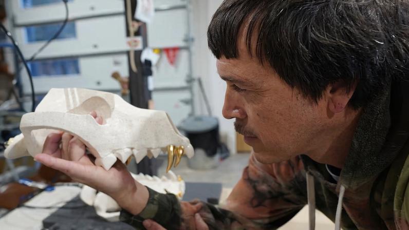 Dingos na Bienal de Sydney ganham nova repercussão após morte de mochileiro