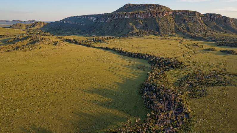 Áreas úmidas do Cerrado guardam enorme depósito de carbono milenar, mostra estudo