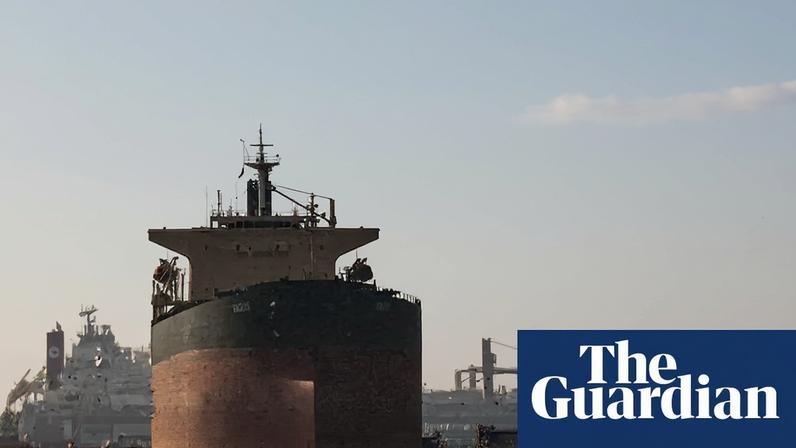 The effective closure of the strait of Hormuz by Tehran, in retaliation for airstrikes by the US and Israel, has proved catastrophic for global energy and trade flows