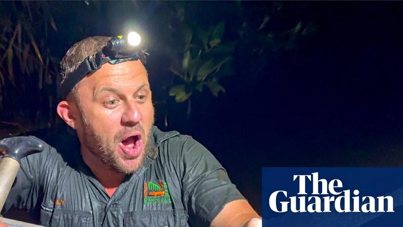 Crocodilo é capturado em Newcastle Creek, longe de habitat natural