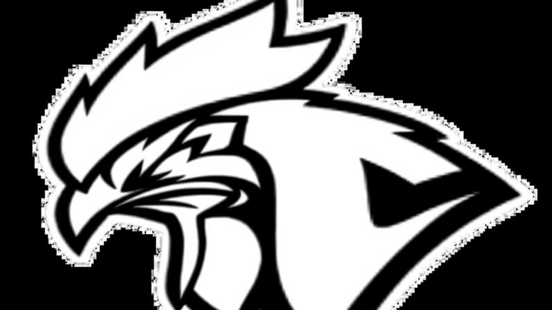 Chicken Coop Esports derrota Team Aether em 27/03/2026 com estatísticas