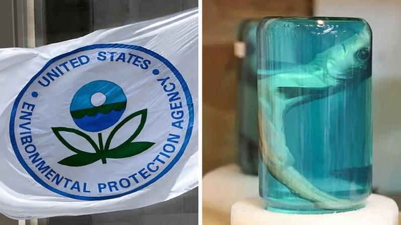 EPA sob Trump usou ciência da indústria para enfraquecer regras de formaldeído