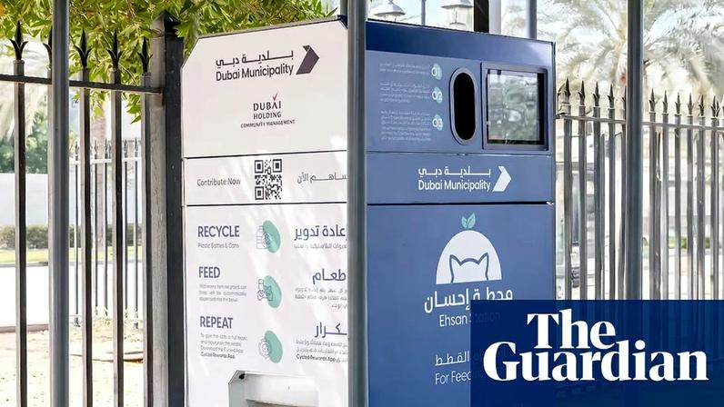 Milhares de animais abandonados em Dubai enquanto expatriados fogem por Irã