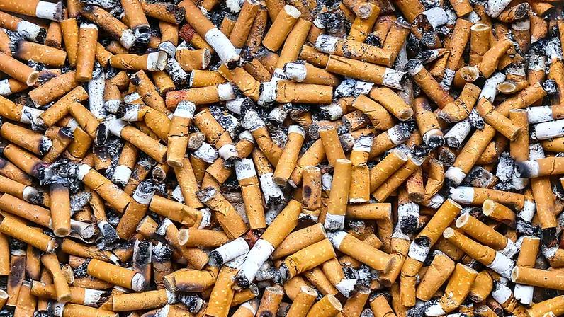 Fotografia de várias bitucas de cigarro.