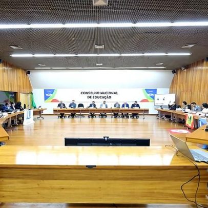 GT entrega relatório sobre regulamentação da Pnaes