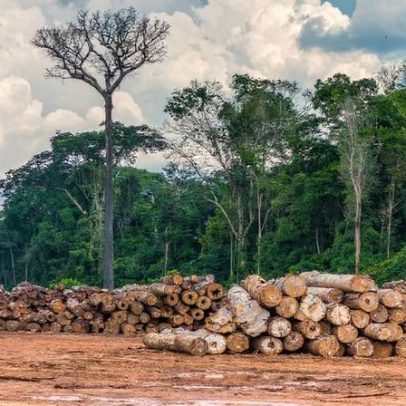 Desmatamento explica grande parte da queda de chuvas na Amazônia
