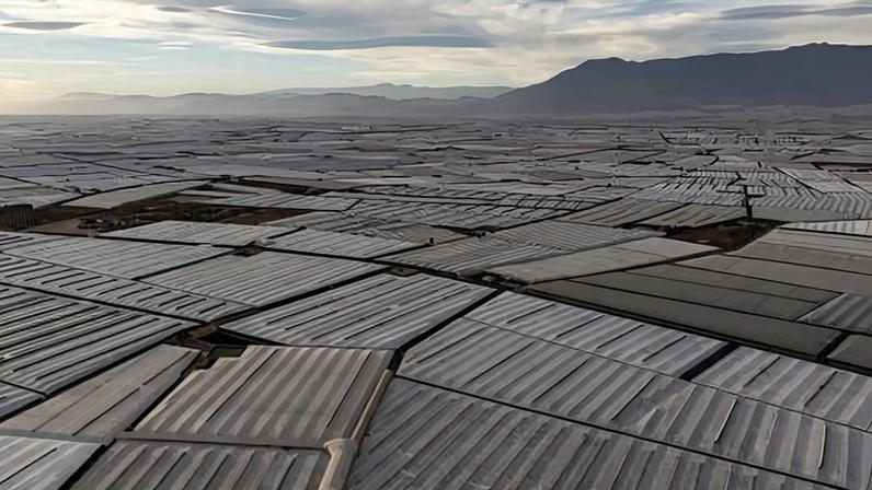 Espanha abriga maior concentração de estufas do mundo, visível do espaço