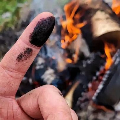 Neandertais teriam usado antibiótico natural para tratar feridas, sugere estudo