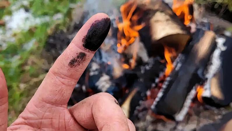 Neandertais teriam usado antibiótico natural para tratar feridas, sugere estudo