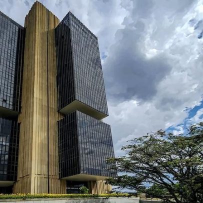 Hermenêutica do ornitorrinco: análise crítica de abordagem única