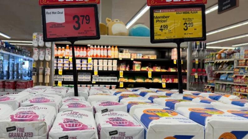 Preços do açúcar branco podem fechar o ano em US$ 462,50 por tonelada, com alta projetada de 8,2% em 2026