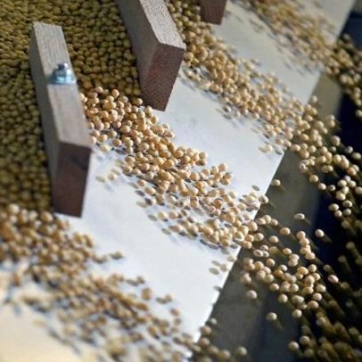Soja chinesa cai 7,8% em bimestre por safra lenta e atrasos na alfândega