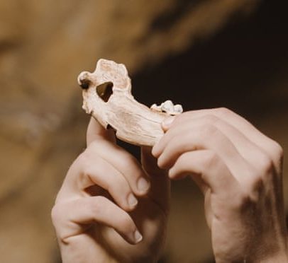 Vínculo entre cães e humanos remonta a mais de 15 mil anos, aponta estudo