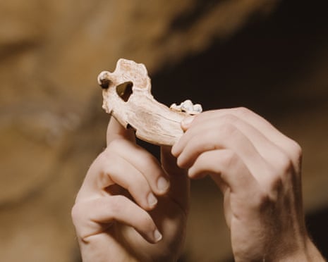 Vínculo entre cães e humanos remonta a mais de 15 mil anos, aponta estudo