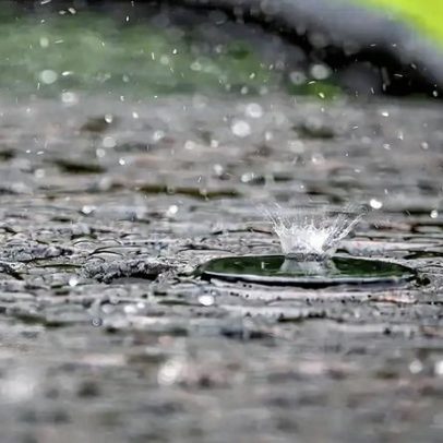 Existe cheiro de chuva de fato? Por que algumas pessoas sentem