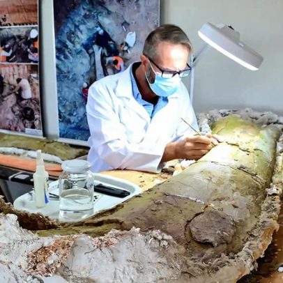 Obra em terminal rodoferroviário encontra dinossauro pescoçudo no Maranhão