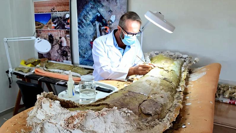 Obra em terminal rodoferroviário encontra dinossauro pescoçudo no Maranhão