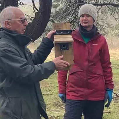 Caixas-ninho instaladas após incêndio devastar habitat de aves