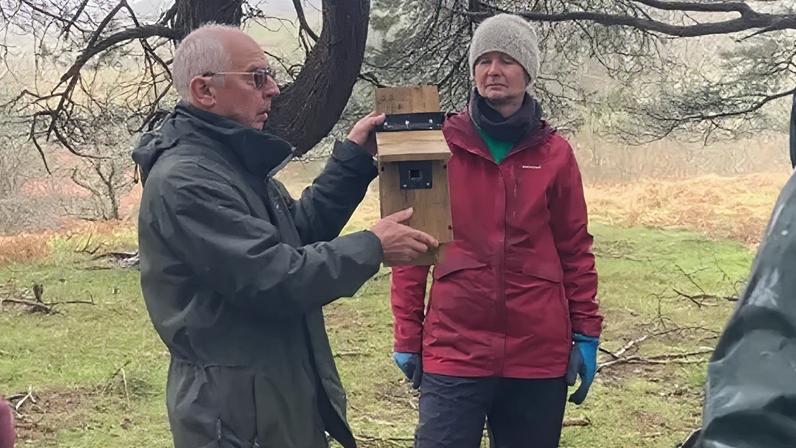 Caixas-ninho instaladas após incêndio devastar habitat de aves