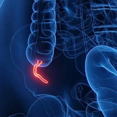 Apêndice: biólogos explicam evolução complexa do órgão