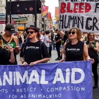 Caridade contesta mudança de lei que restringe protestos contra testes animais