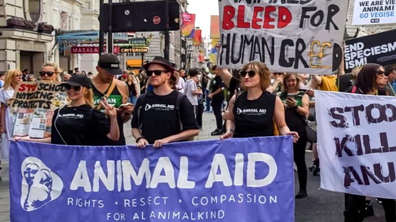 Caridade contesta mudança de lei que restringe protestos contra testes animais