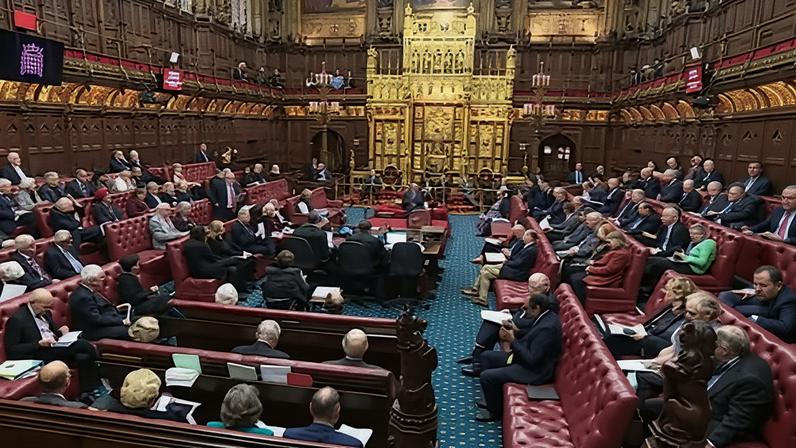 The House of Lords. Life peerages are being offered to hereditaries who would otherwise lose their seats.