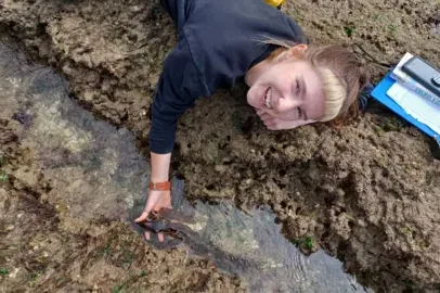 Transformação após rewilding do leito marinho protegido