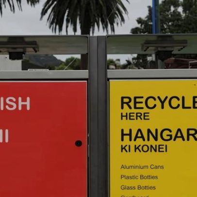 Coalizão da Nova Zelândia vota tornar o inglês idioma oficial; críticos criticam