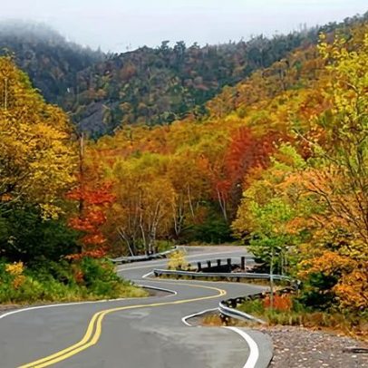Canadense que desobedeceu proibição de caminhar na floresta tem caso ouvido