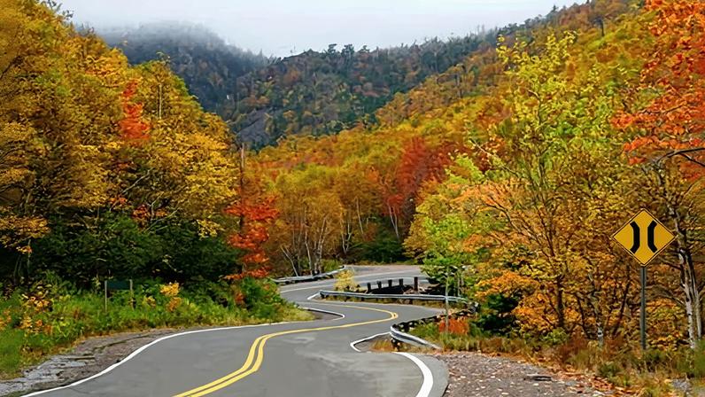 Canadense que desobedeceu proibição de caminhar na floresta tem caso ouvido