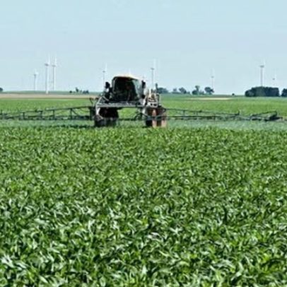 Centro infantil de Minneapolis supera onda do ICE e segue em frente