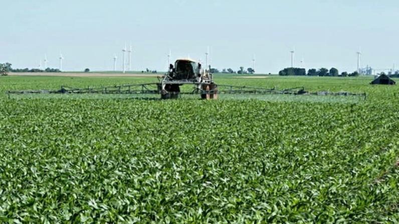 Centro infantil de Minneapolis supera onda do ICE e segue em frente