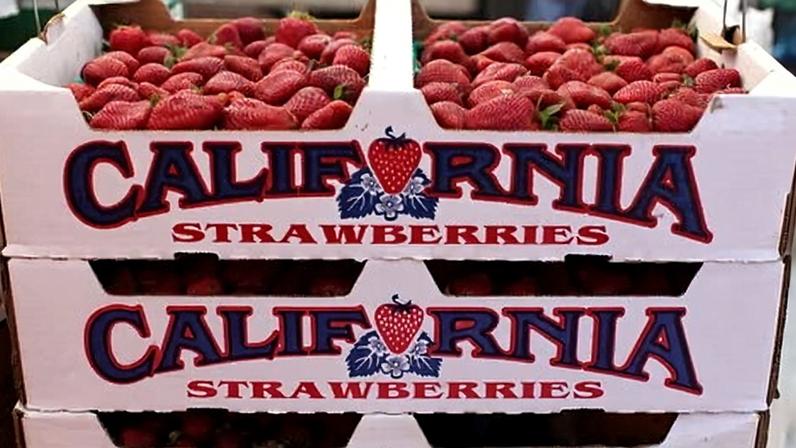 PFAS em 37% de produtos agrícolas da Califórnia, aponta nova análise