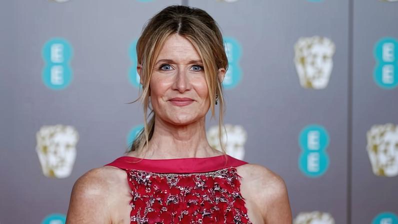 Laura Dern atuará em minissérie sobre a investigação de Epstein, de Adam McKay