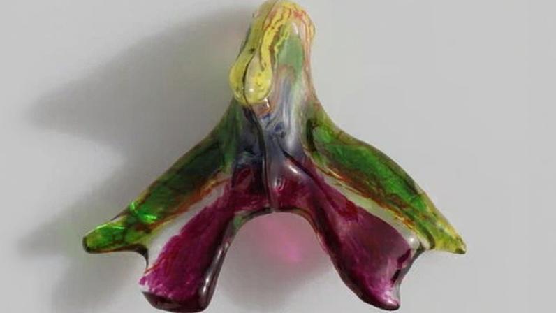 3D printed model of the clitoris based on the work of Ju Young Lee. Yellow structures are the nerves. Green and purple are erectile tissue. Red and blue are arteries and veins.