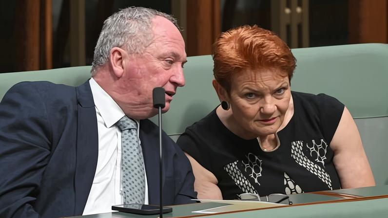 Hanson quer parceria com Liberais e Nationals para derrotar o Labor sem coalizão