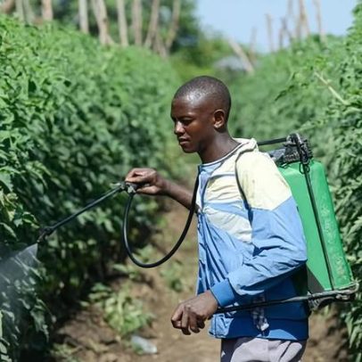 África vulnerável diante do conflito iraniano que afeta cadeias de suprimentos