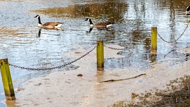 Esgoto liberado nos rios e mares da Inglaterra quase 300 mil vezes no ano