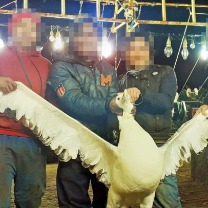 Pesca de lula no Pacífico chinês sob abusos trabalhistas, aponta relatório