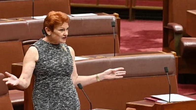 Premier da SA vê One Nation como ameaça ao Labor federal; Marles critica