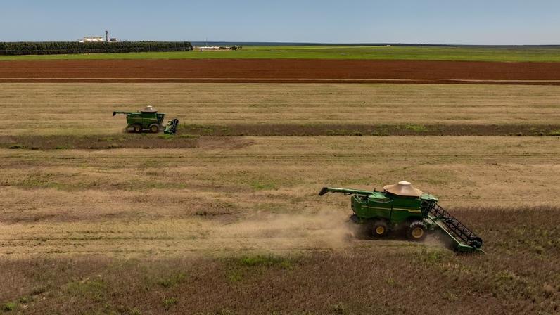 Remessas de soja tinham falhado em passar pelas próprias inspeções sanitárias do Brasil no início deste mês (Foto: Dado Galdieri/Bloomberg)