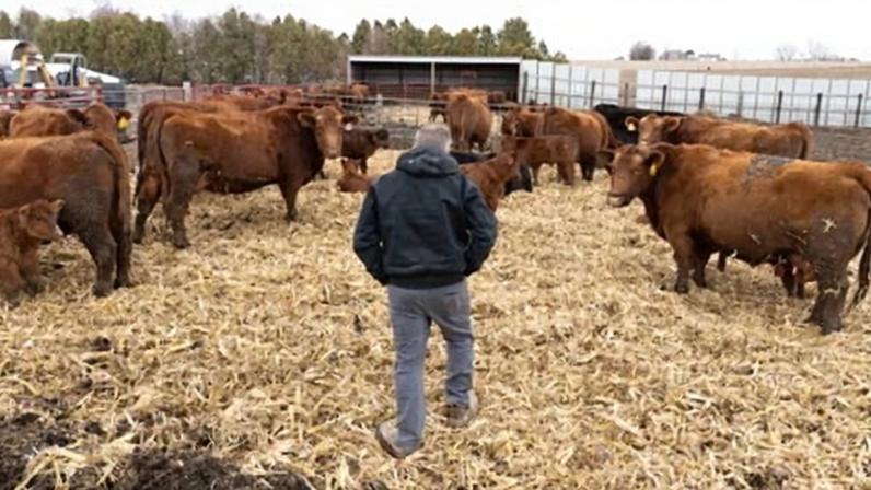 Trump amplia ajuda a agricultores e fornecedores de alimentos em meio à guerra com o Irã