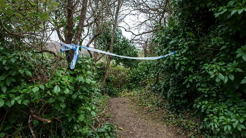 Adolescentes se suicidaram em Dorset após bebê ficar em cuidados, diz inquérito