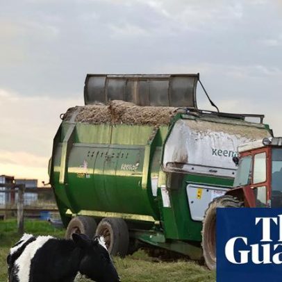 Agricultores pedem isenções fiscais, diesel garantido e apoio a fertilizantes