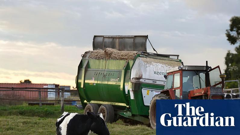The National Farmers’ Federation said the national cabinet must agree on a plan for agriculture, including a guaranteed fuel supply and more support to secure fertiliser, to safeguard food production.