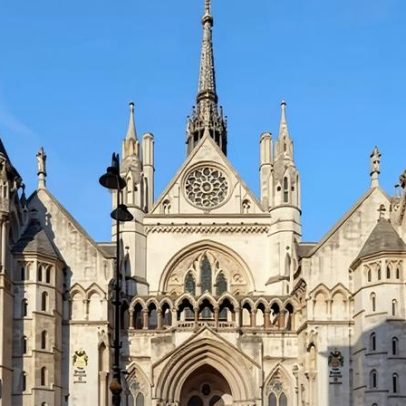 Tribunal de apelação não pode determinar qual gêmeo idêntico é pai da criança