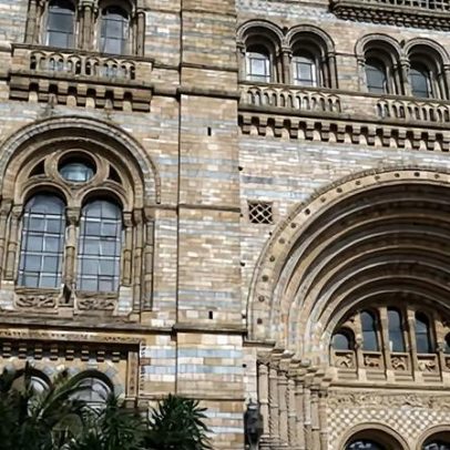 Museu de História Natural lidera atrações no Reino Unido com recorde visitas