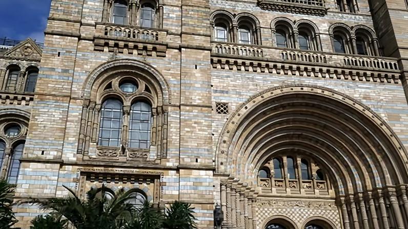 Museu de História Natural lidera atrações no Reino Unido com recorde visitas
